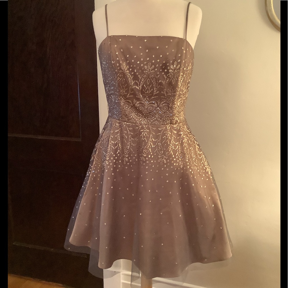 Gorgeous Masquerade Dress